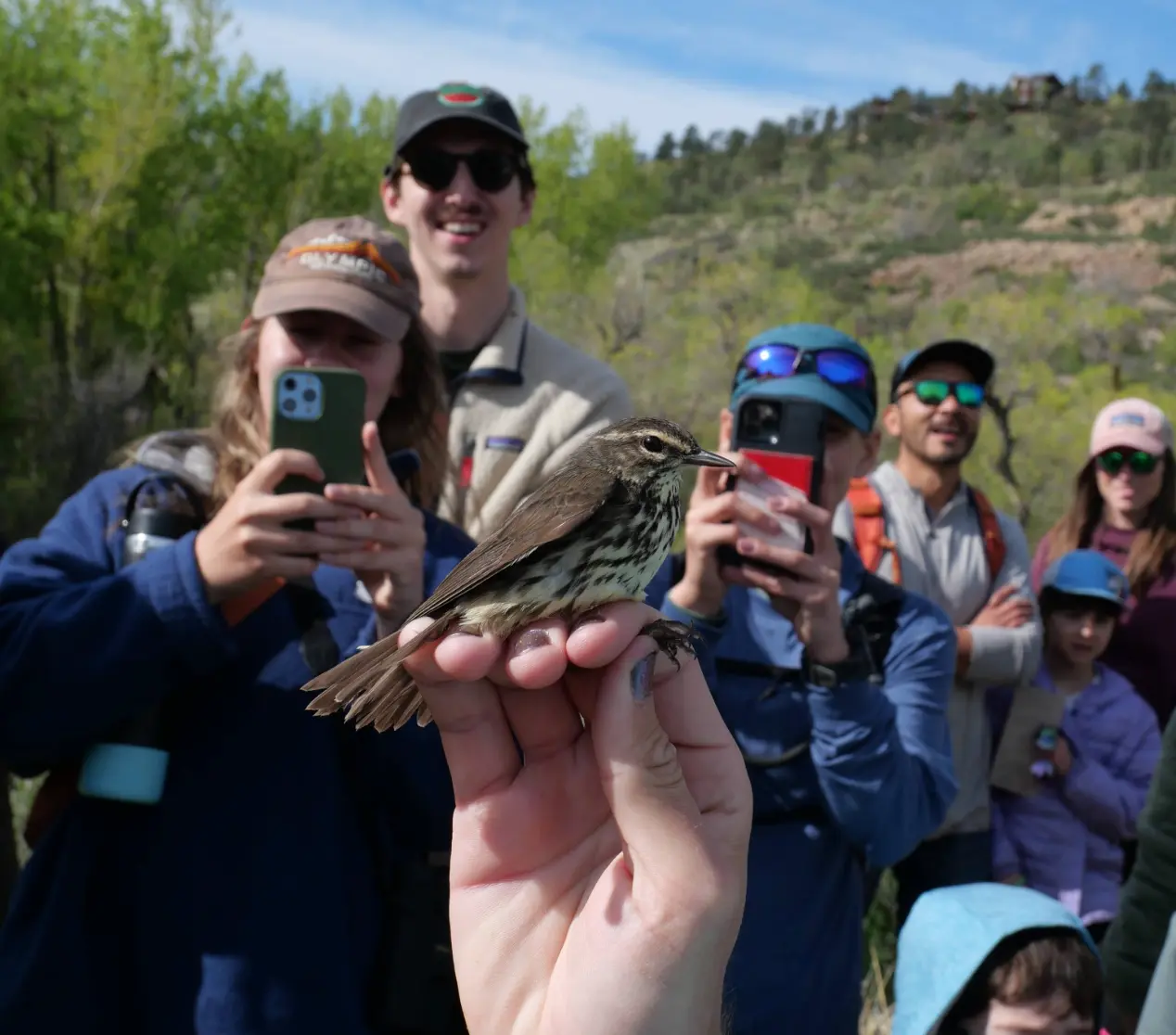 A scientist holding a Northern Waterthrush with participants at our Pineridge Banding Station